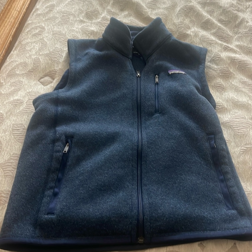Men’s Patagonia vest